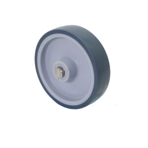 Rad ø 160 mm Serie P2W2 Gleitlager Edelstahl